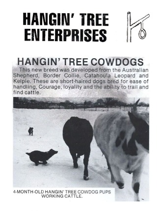 Gary Ericcson Hangin Tree brochure 1a